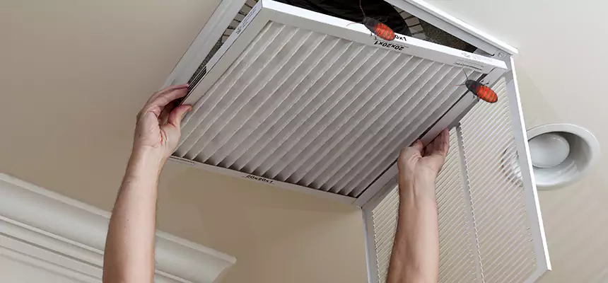 Preventive Cockroach-Proofing for Ducts in San Antonio