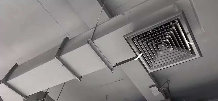 Our Pest Removal From Ducts Services in San Antonio, TX