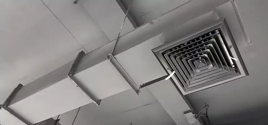 Our Rodent Droppings In Vents Services in San Antonio, TX