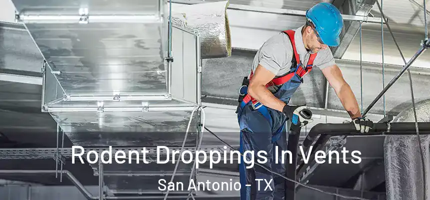  Rodent Droppings In Vents San Antonio - TX