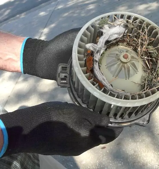 About Air Duct Rat Removal in San Antonio, TX