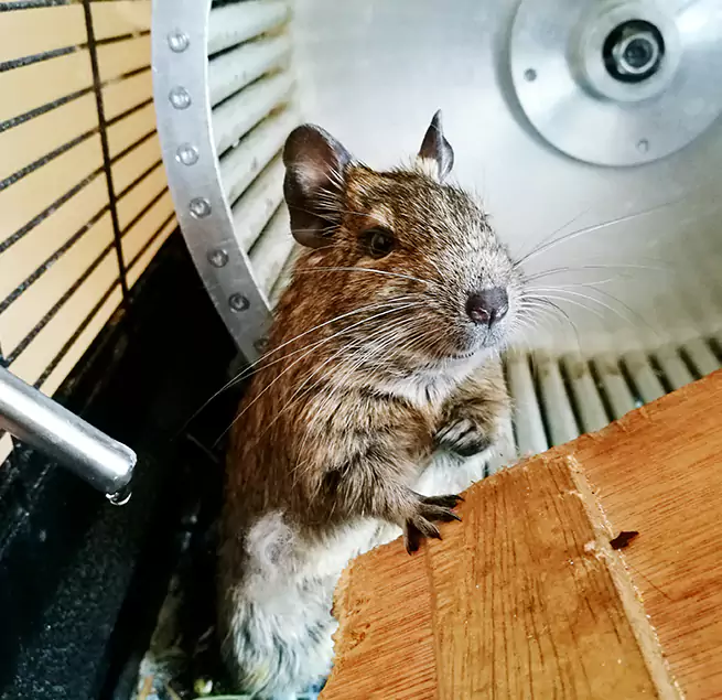 Why Homeowners & Businesses Trust Us San Antonio, TX