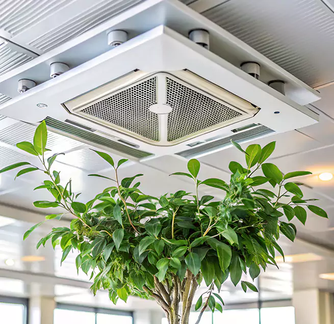 Why Homeowners & Businesses Trust Us in San Antonio, TX?